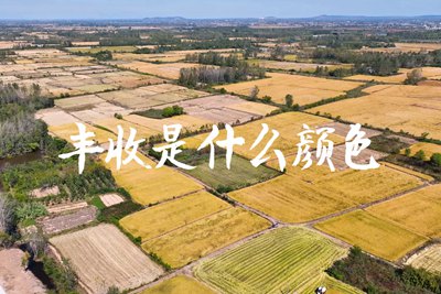 春種一粒粟，秋收萬(wàn)顆子。多彩的豐收季，只愿五谷豐登，百事興旺3.240_400.jpg